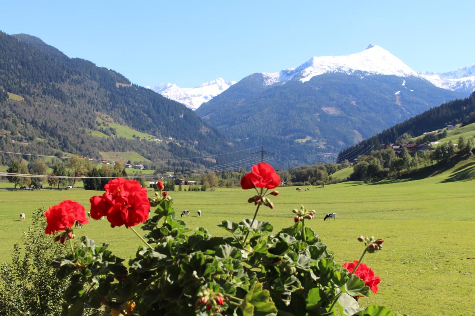 Landhaus Schwaiger Bad Hofgastein Esterno foto